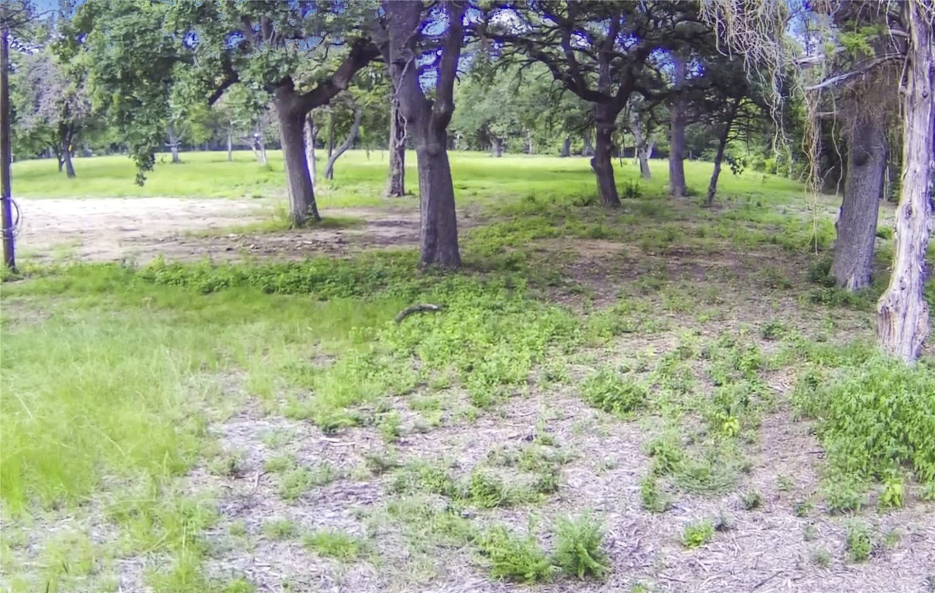 0.5 acres in Dallas County gallery image 2