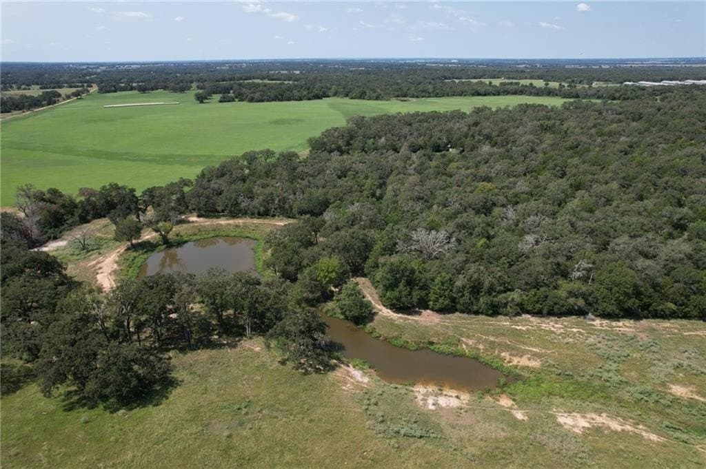 140.29 acres in Milam County gallery image 3