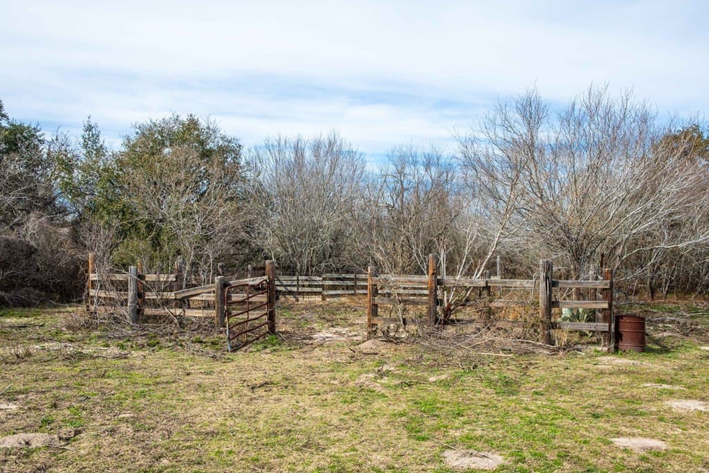 22.3 acres in Bee County gallery image 3