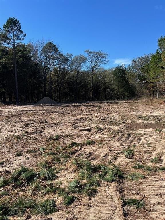 2.74 acres in Smith County gallery image 4