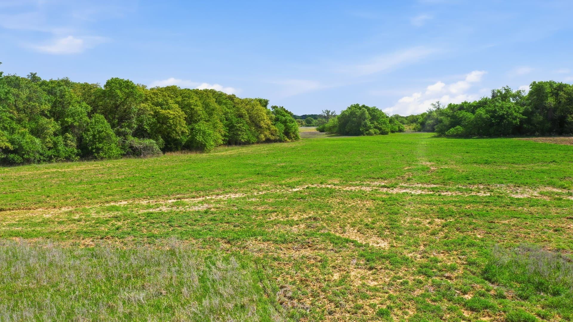 146 acres in Parker County - photo 29