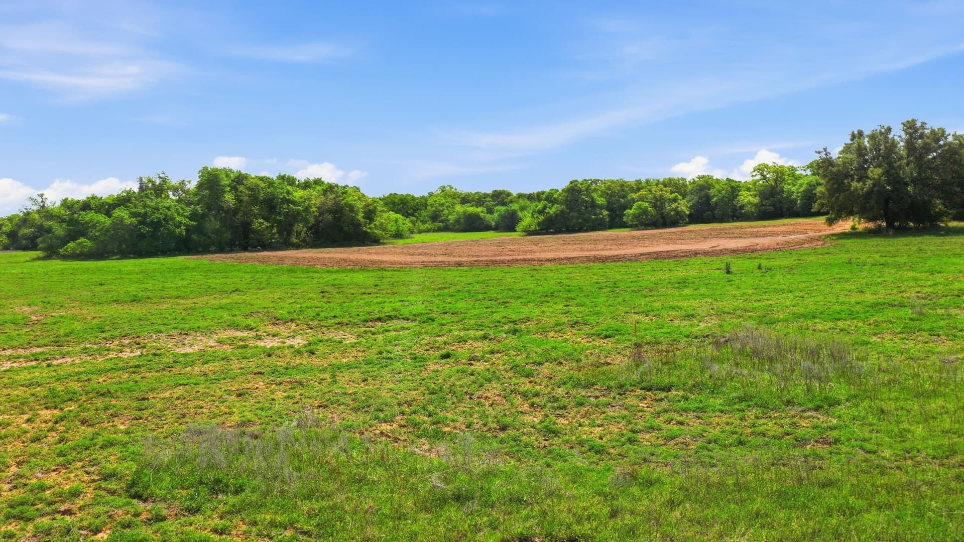 146 acres in Parker County - photo 28