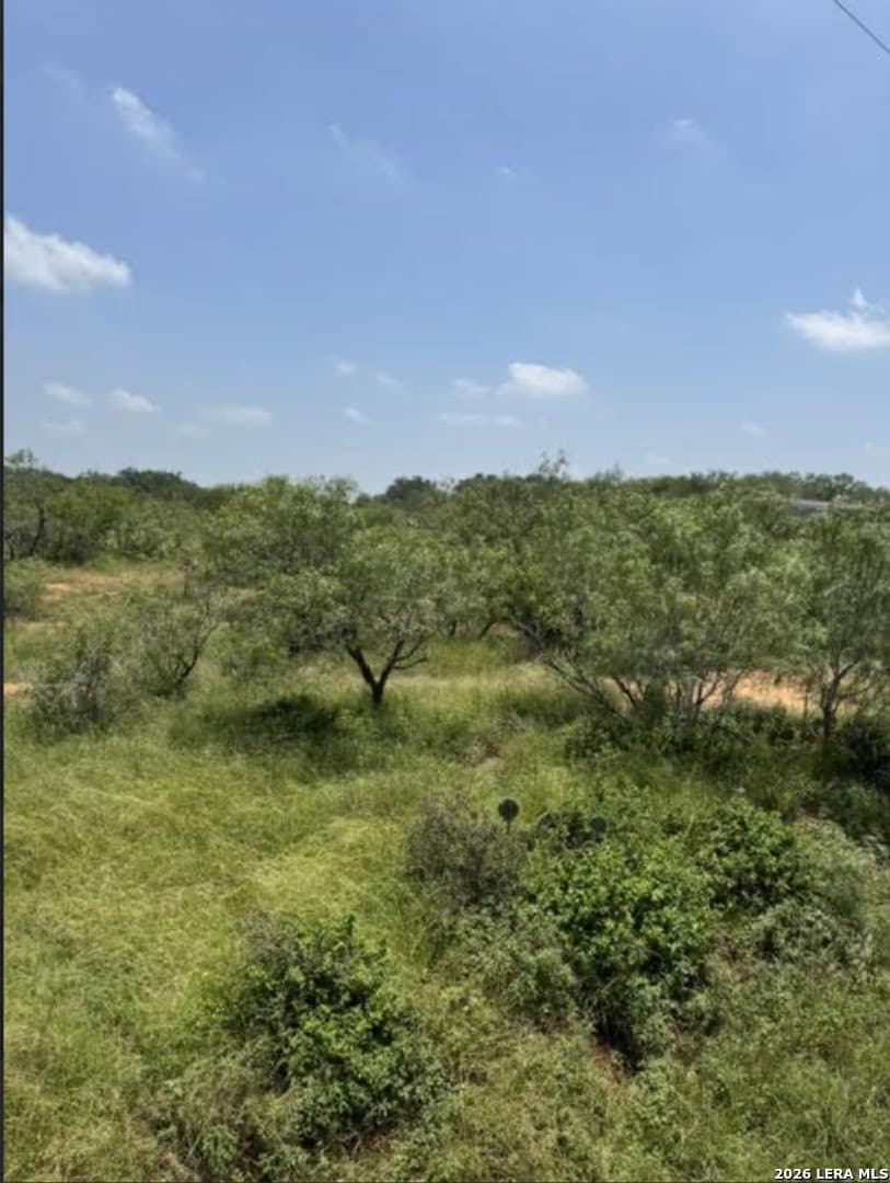 2.34 acres in Wilson County - photo 19