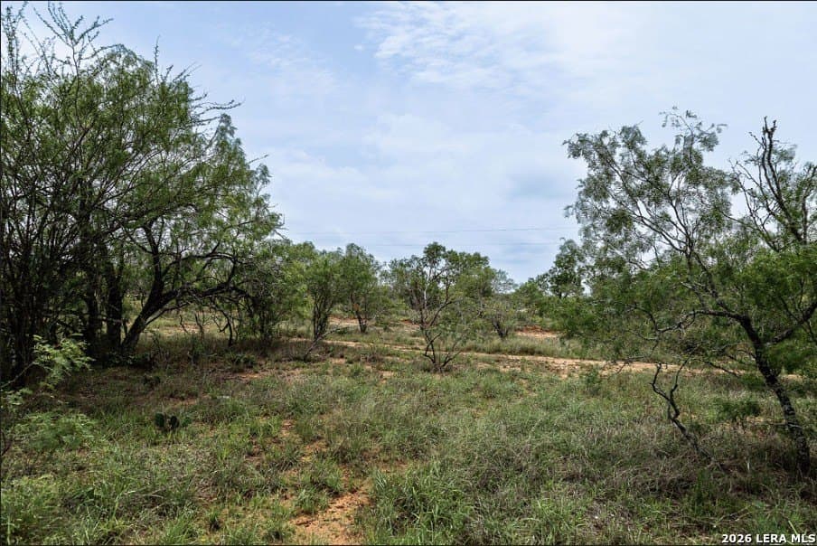 2.34 acres in Wilson County gallery image 4