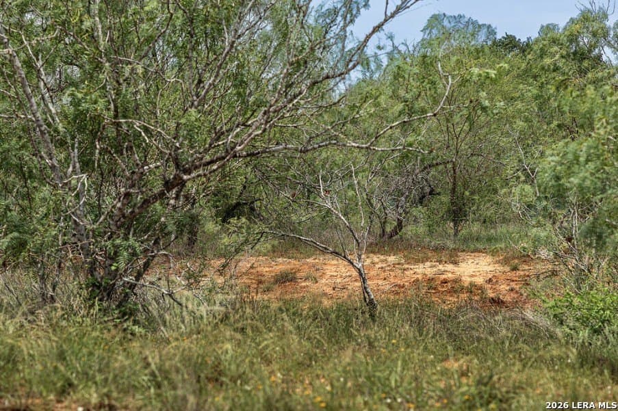 2.34 acres in Wilson County - photo 11