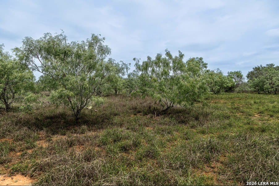 2.34 acres in Wilson County - photo 12
