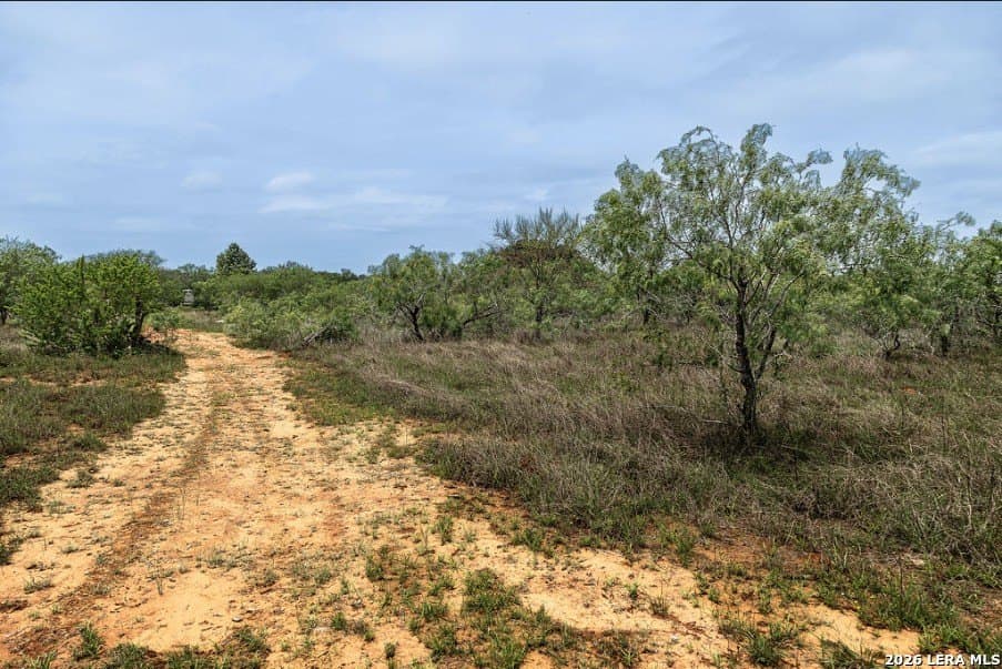 2.34 acres in Wilson County - photo 7