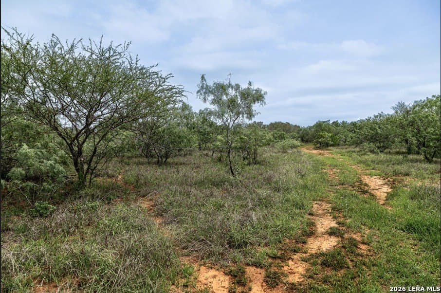 2.34 acres in Wilson County gallery image 3