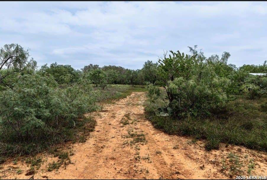 2.34 acres in Wilson County - photo 6