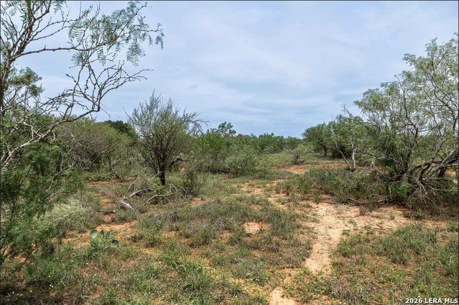 2.34 acres in Wilson County - photo 8