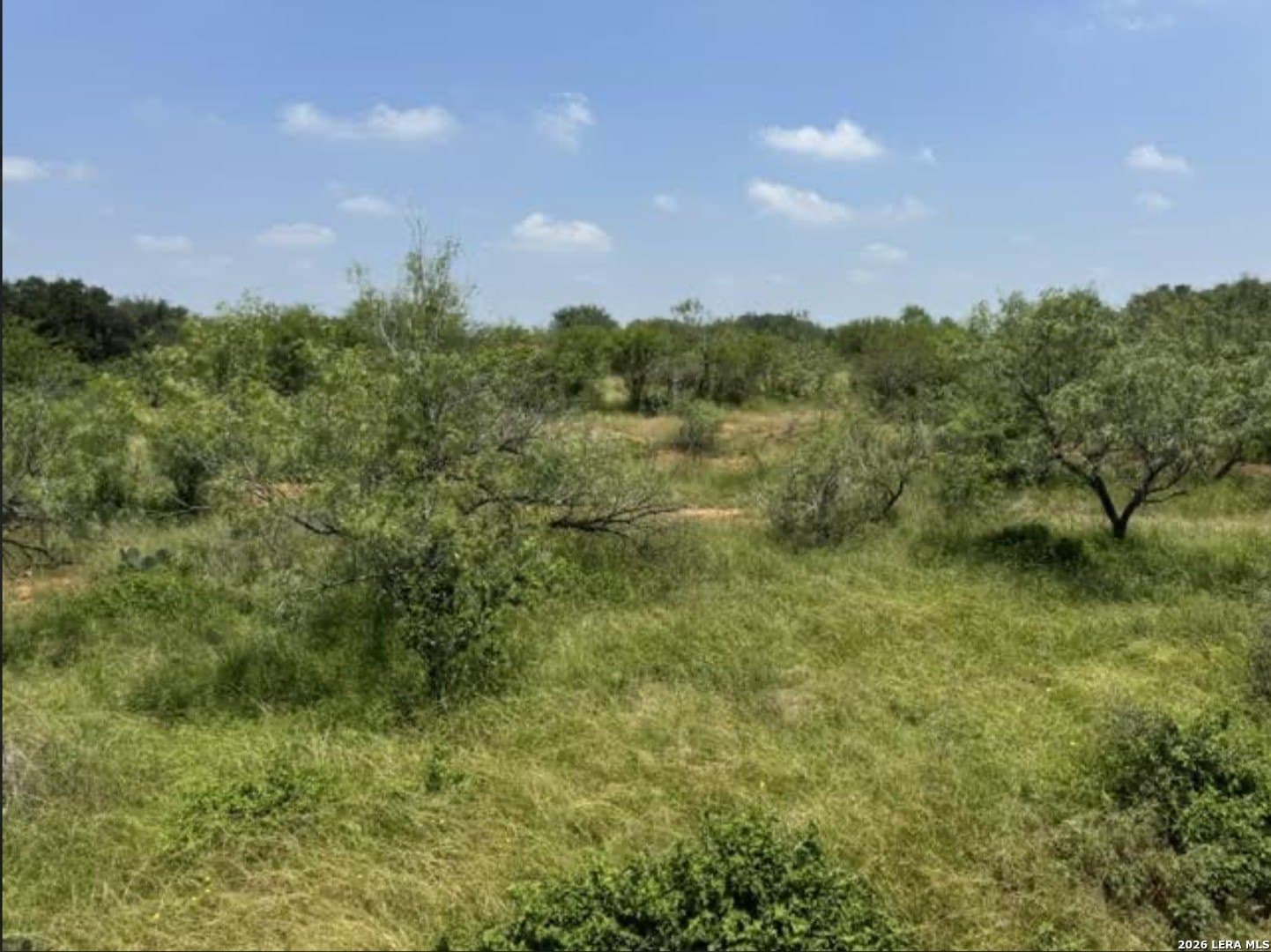 2.34 acres in Wilson County - photo 17