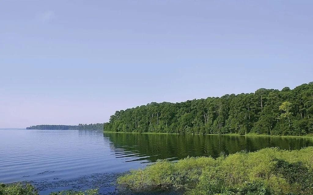 2.37 acres in Navarro County gallery image 3