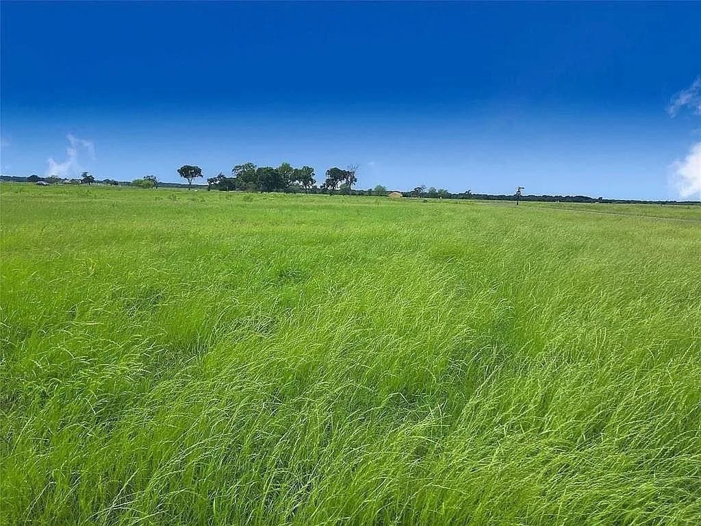 2.37 acres in Navarro County gallery image 4