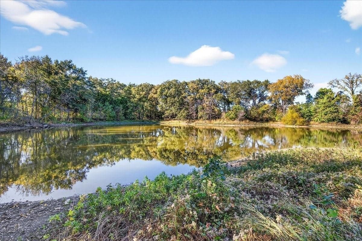 26.12 acres in Van Zandt County - photo 3