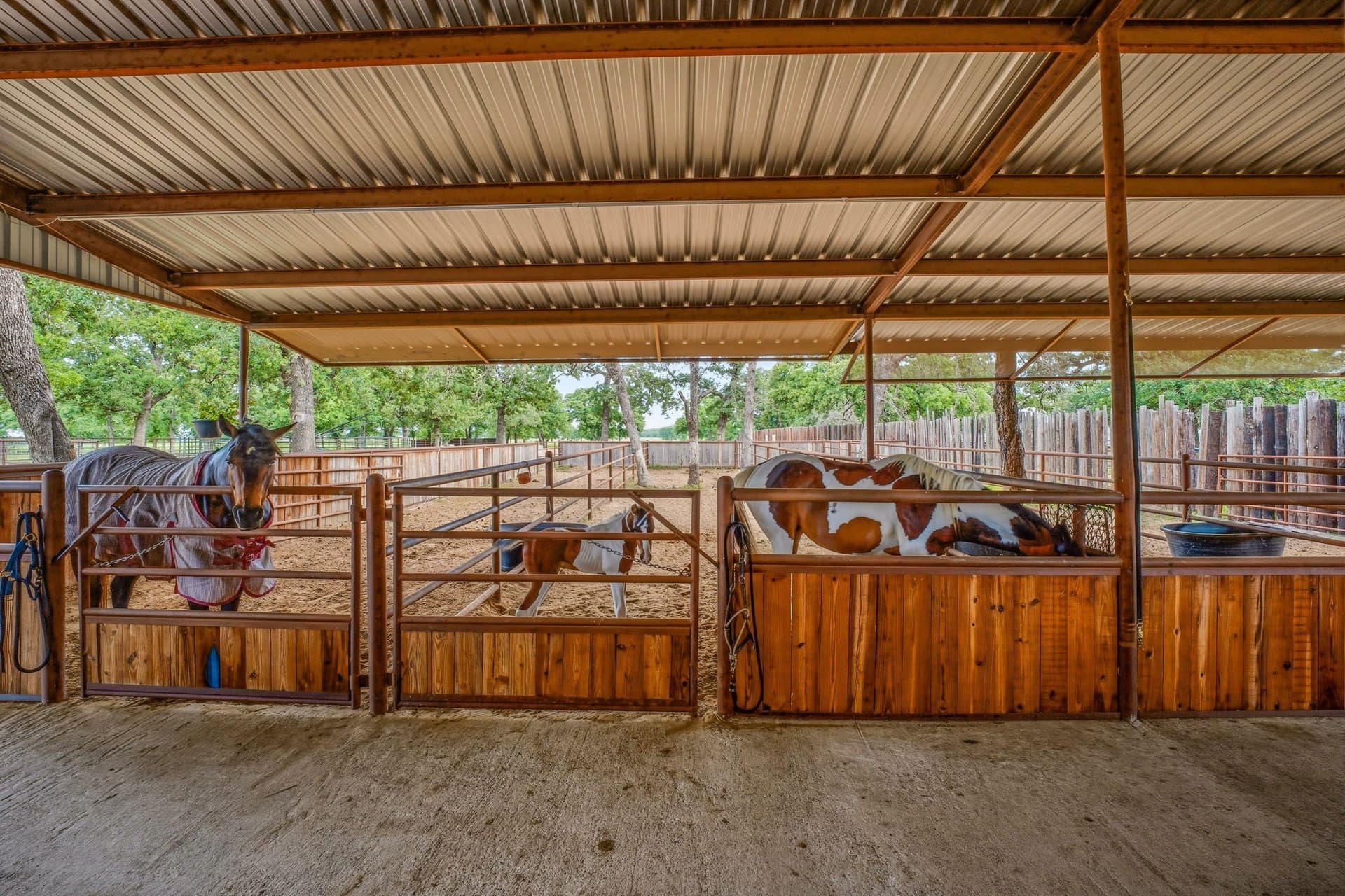13.75 acres in Erath County - photo 26