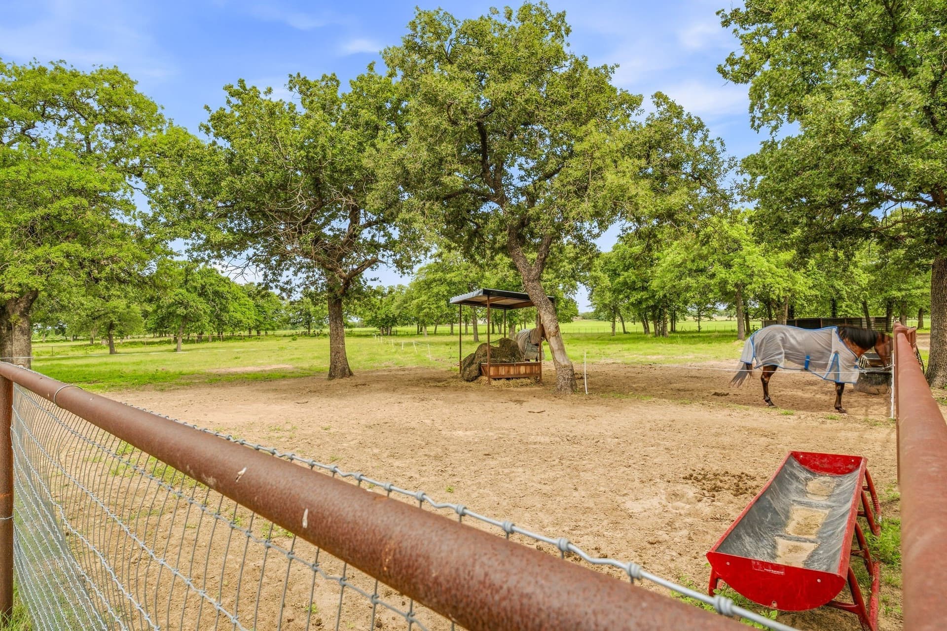 13.75 acres in Erath County - photo 20