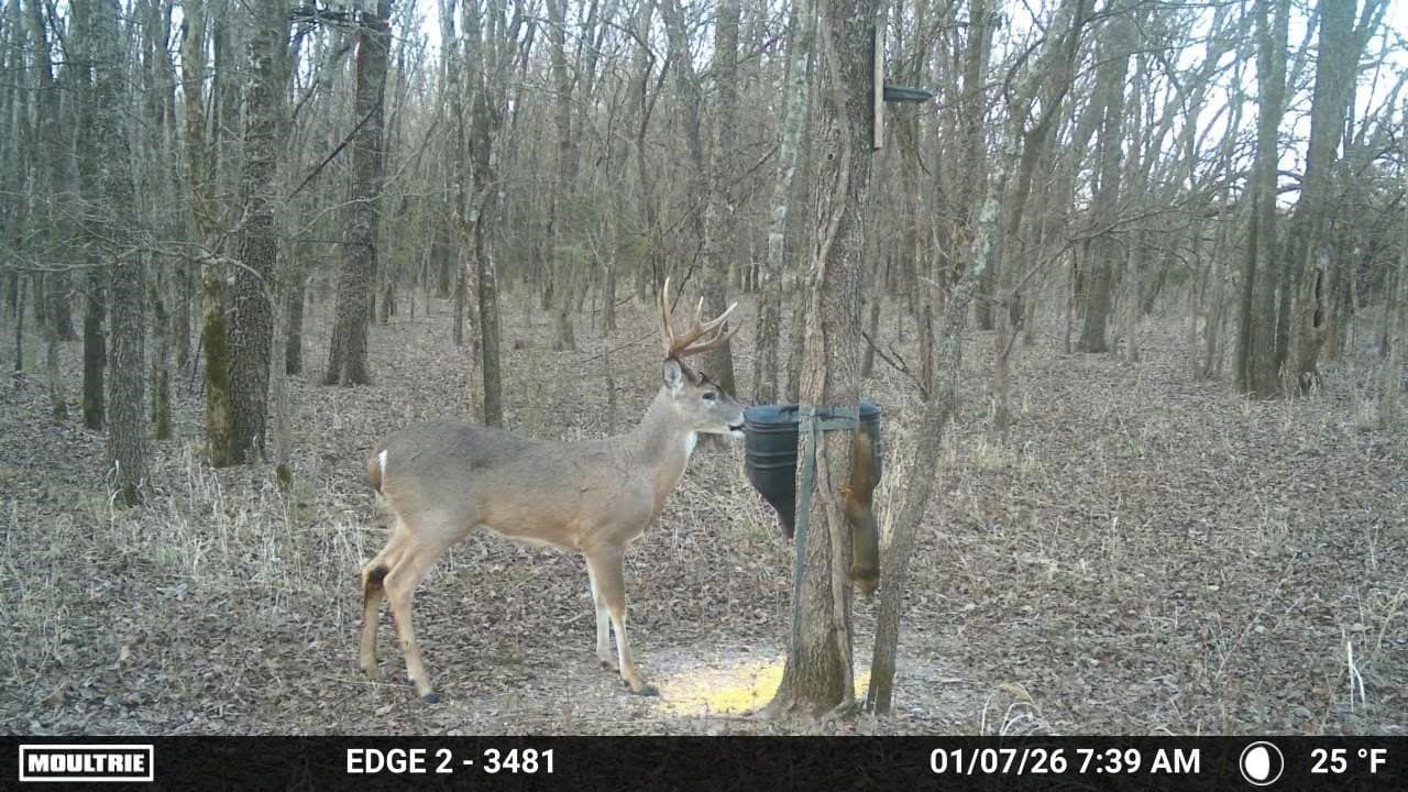 48.09 acres in Grayson County - photo 21