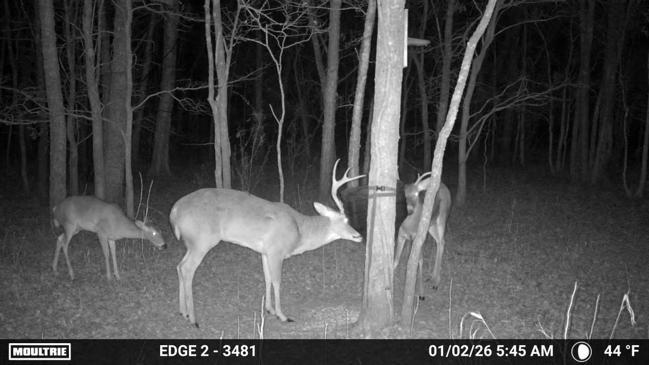 48.09 acres in Grayson County - photo 19