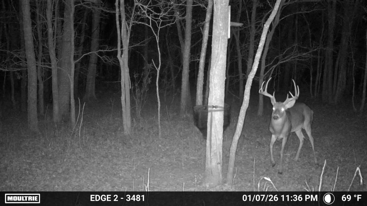 48.09 acres in Grayson County - photo 20