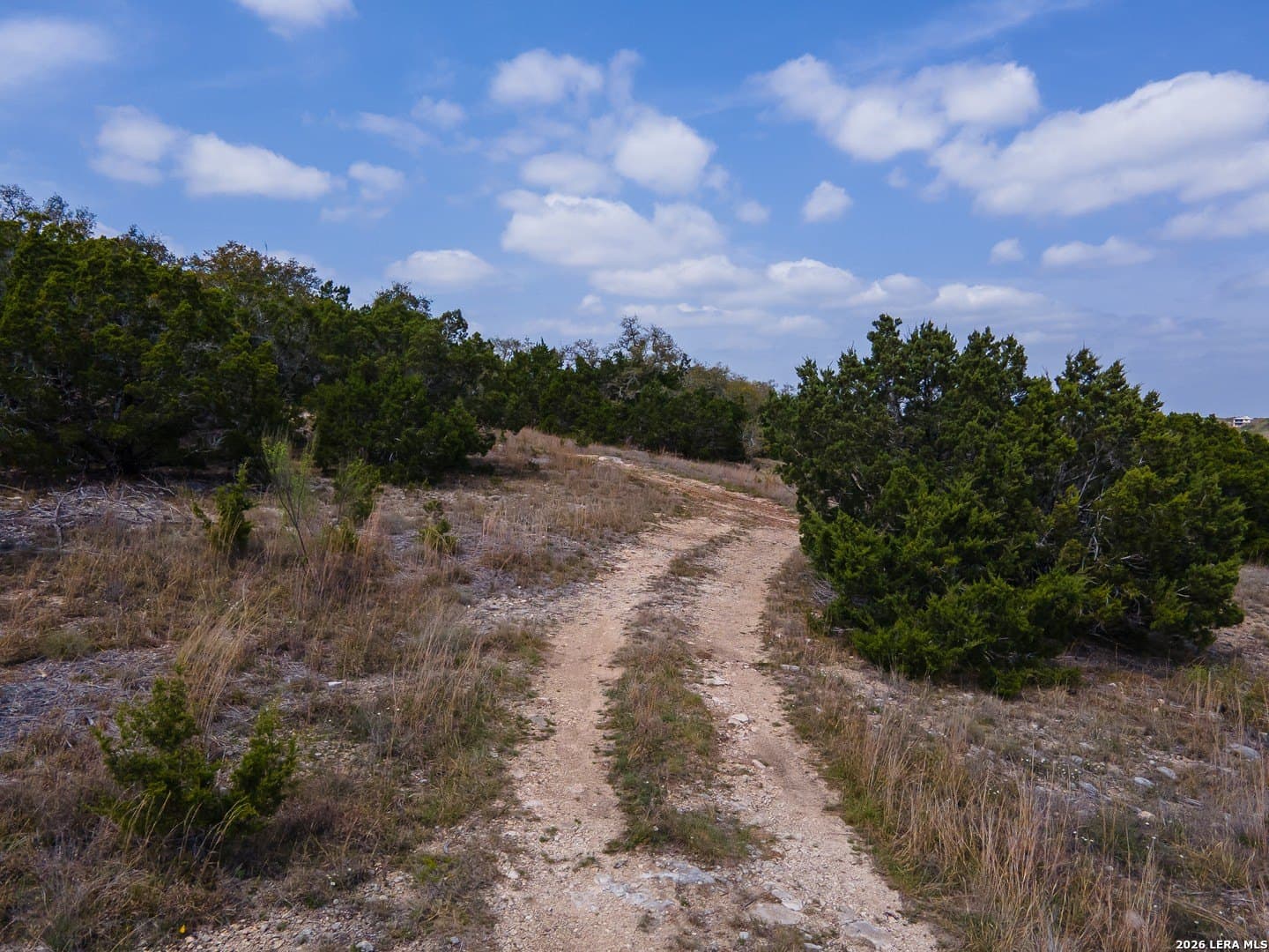 5.01 acres in Comal County - photo 8
