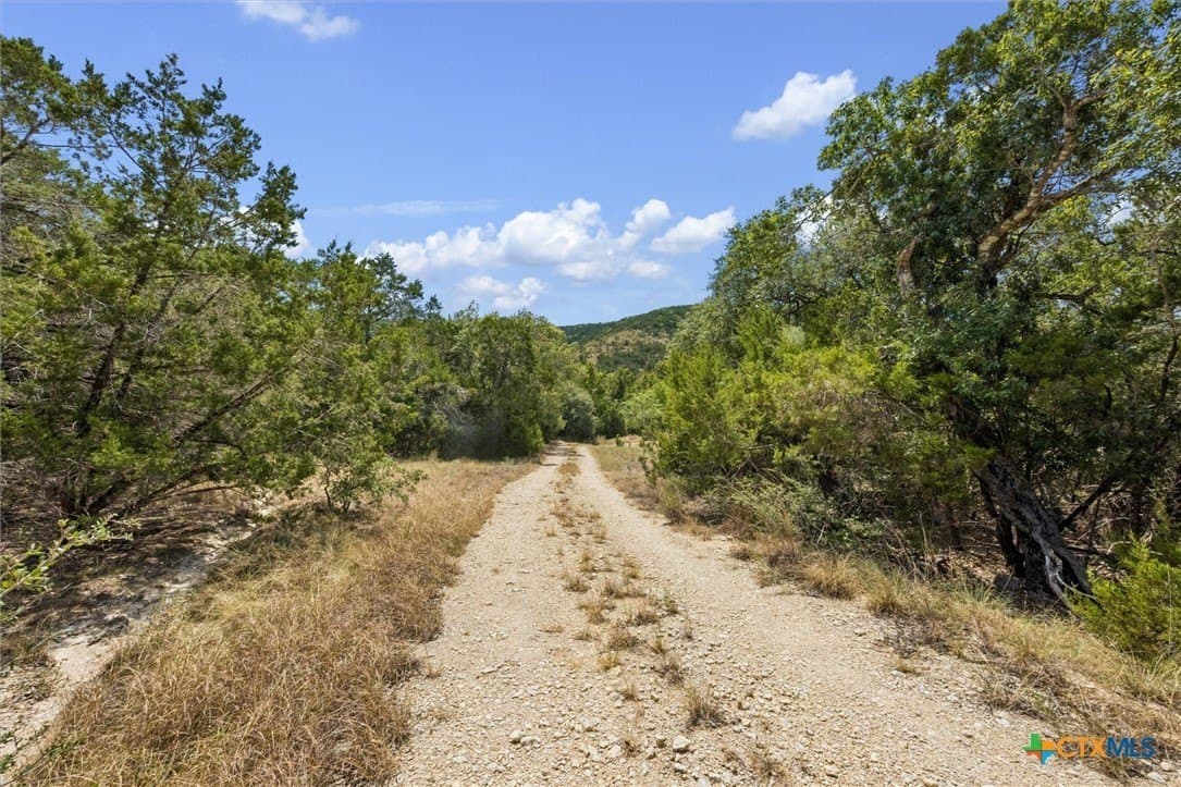 100.4 acres in Comal County - photo 17