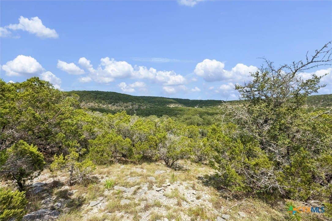 100.4 acres in Comal County - photo 25