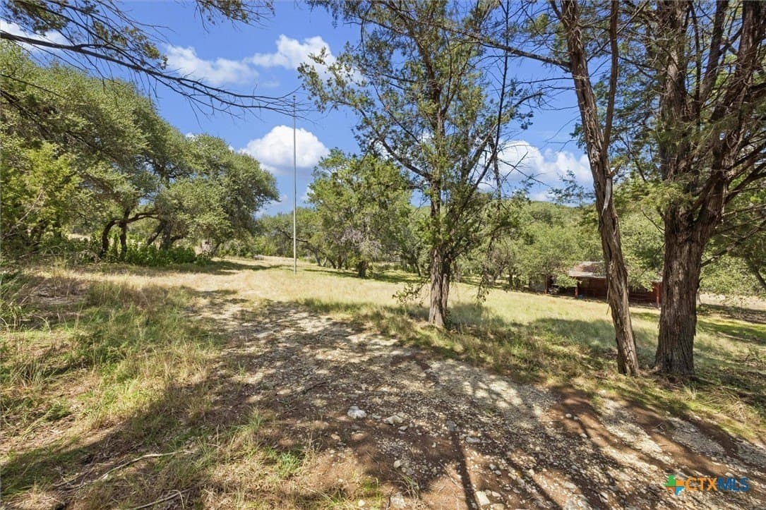 100.4 acres in Comal County - photo 6