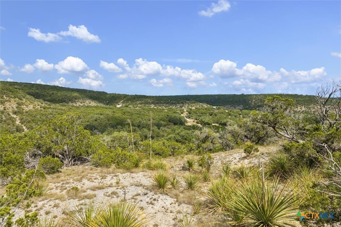100.4 acres in Comal County - photo 21