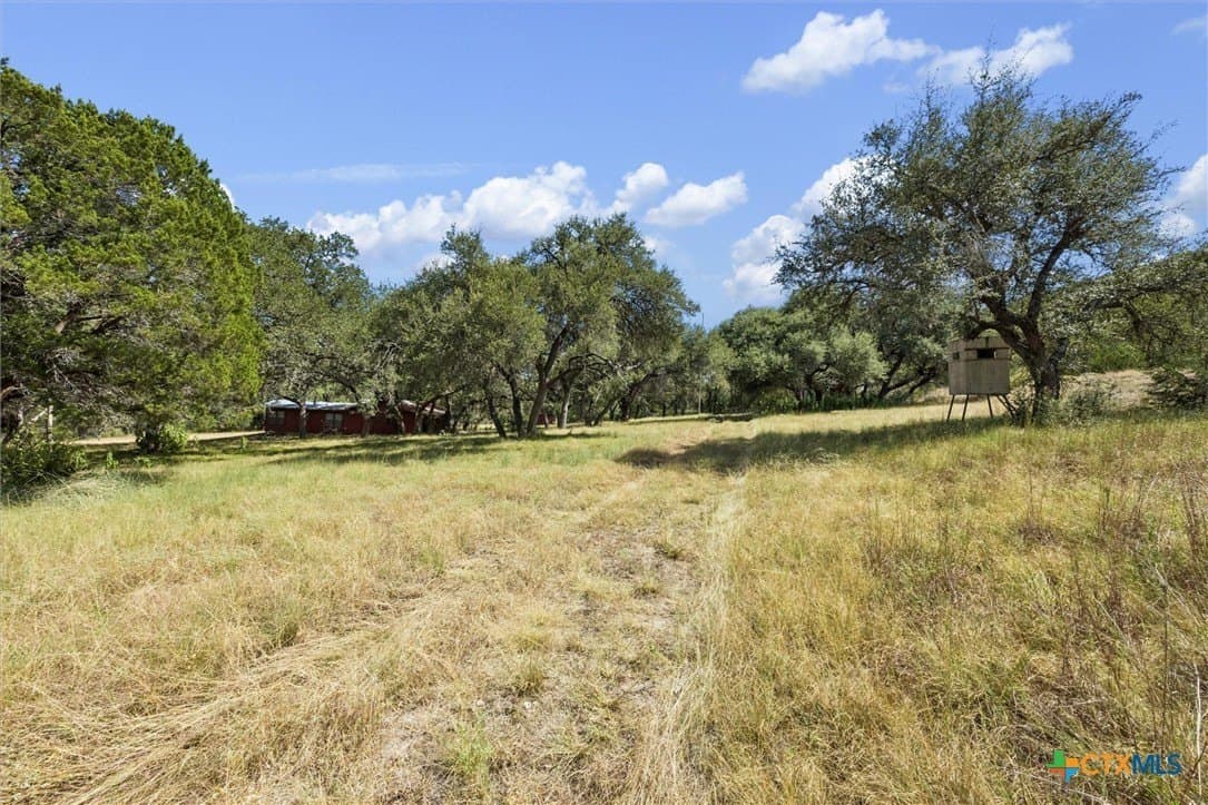 100.4 acres in Comal County - photo 29