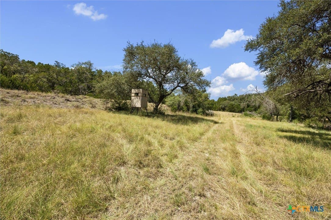 100.4 acres in Comal County - photo 8