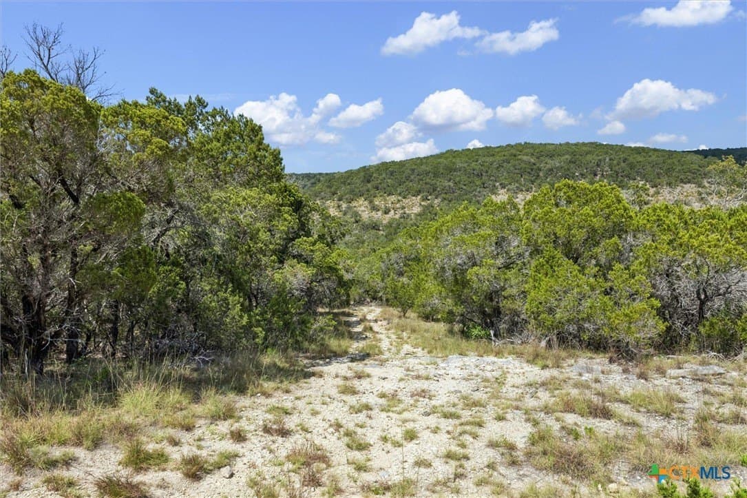 100.4 acres in Comal County - photo 23