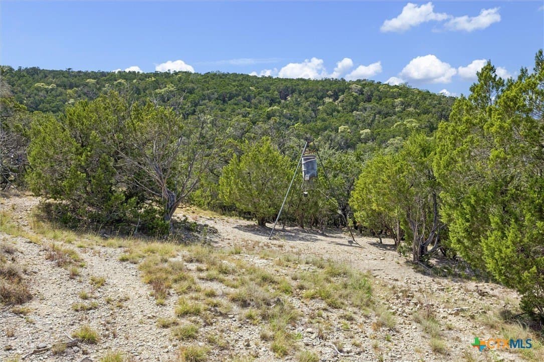 100.4 acres in Comal County - photo 22