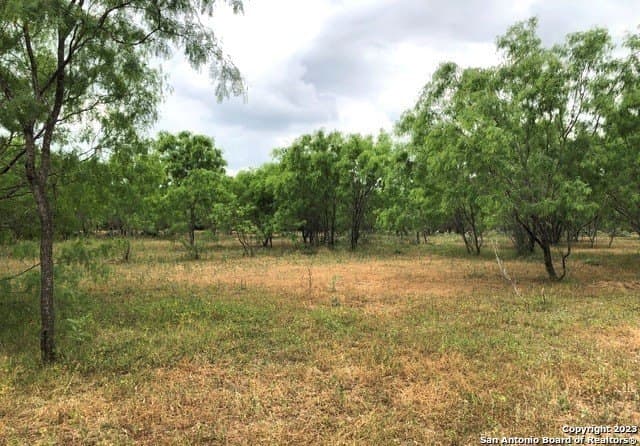 8.4 acres in Bexar County gallery image 4