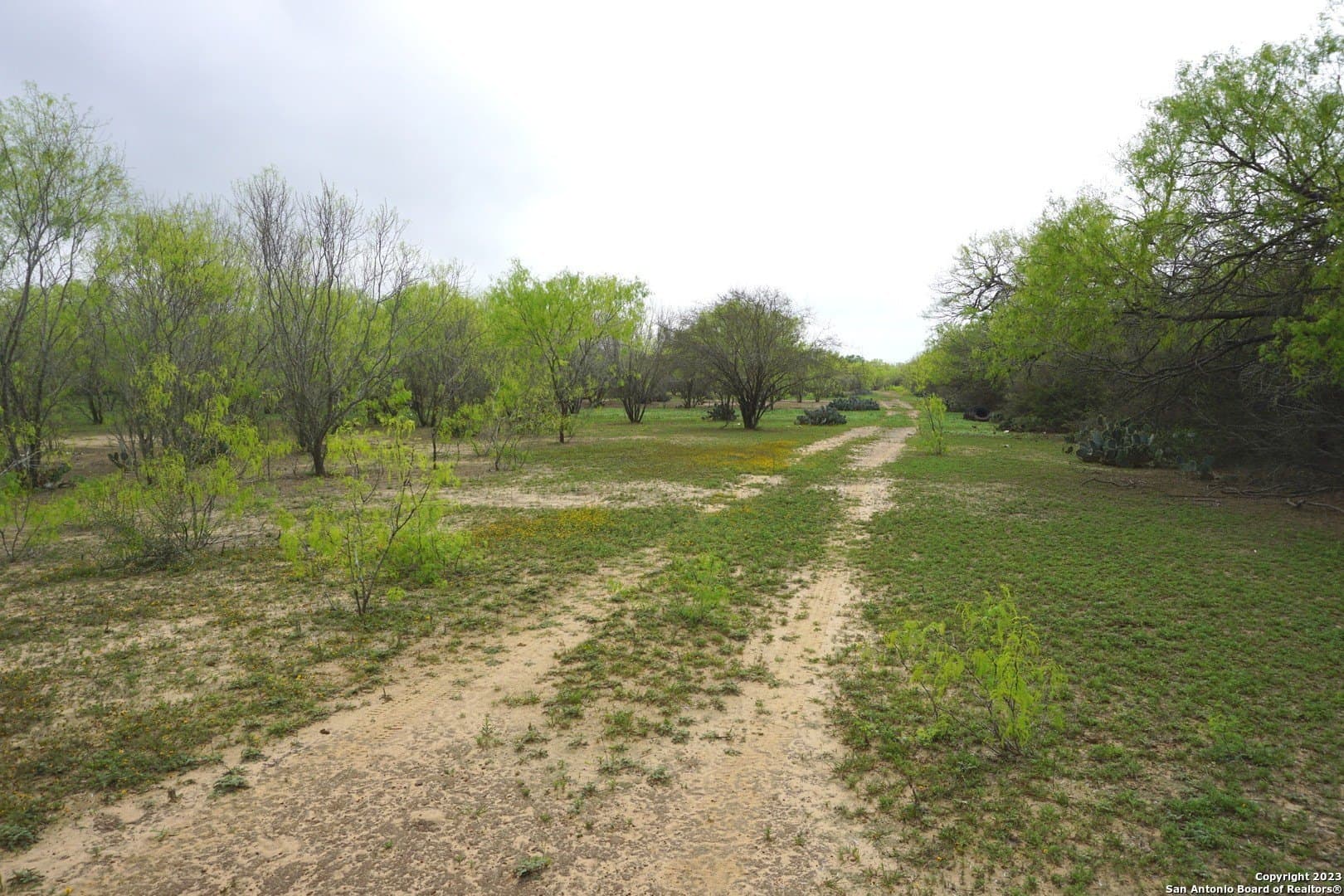 8.4 acres in Bexar County featured view