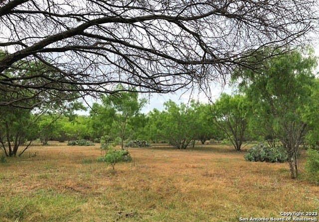 8.4 acres in Bexar County gallery image 2