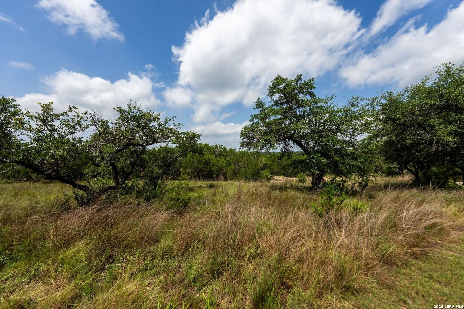 5.08 acres in Comal County - photo 10