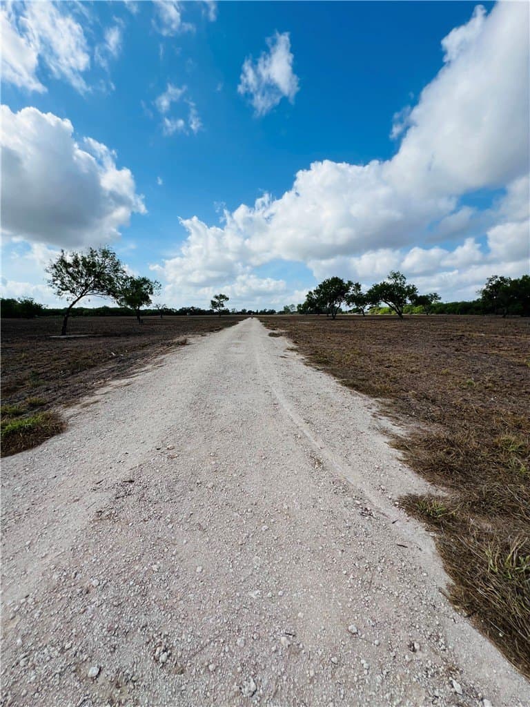 14.4 acres in Brooks County gallery image 4