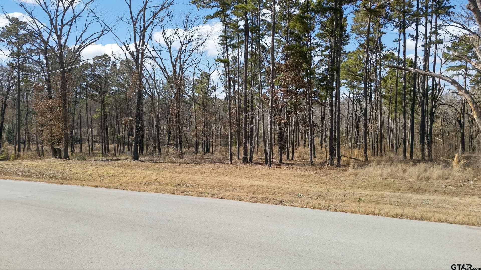 2.08 acres in Henderson County - photo 7
