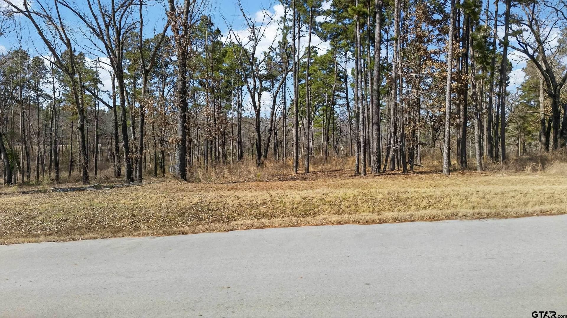2.08 acres in Henderson County - photo 6