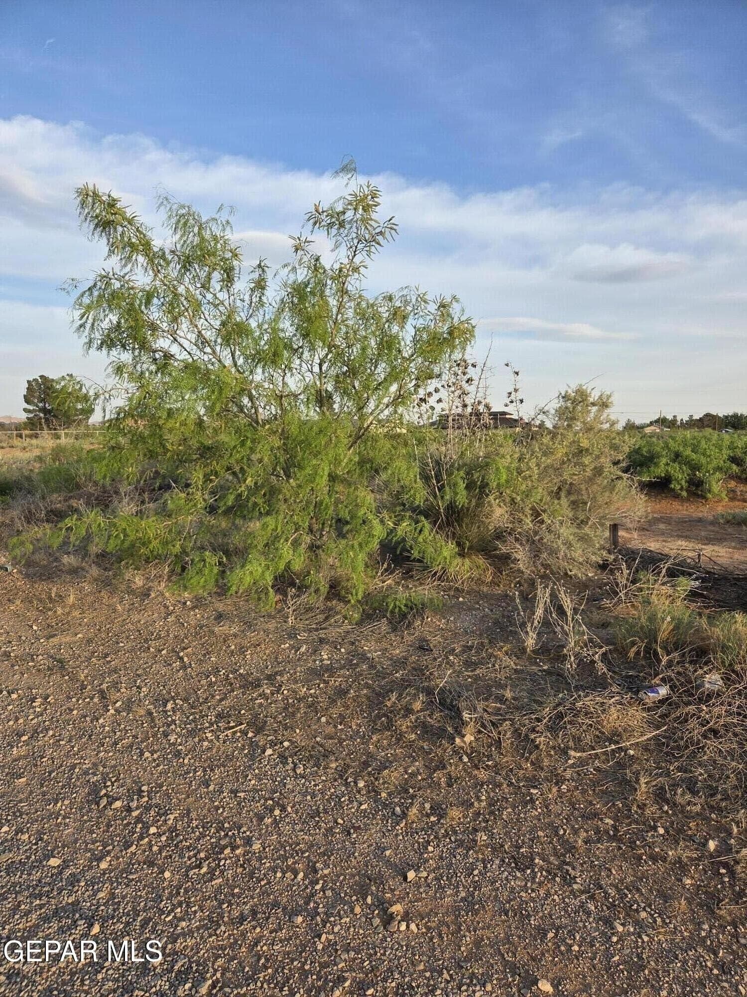 2.8 acres in El Paso County gallery image 3
