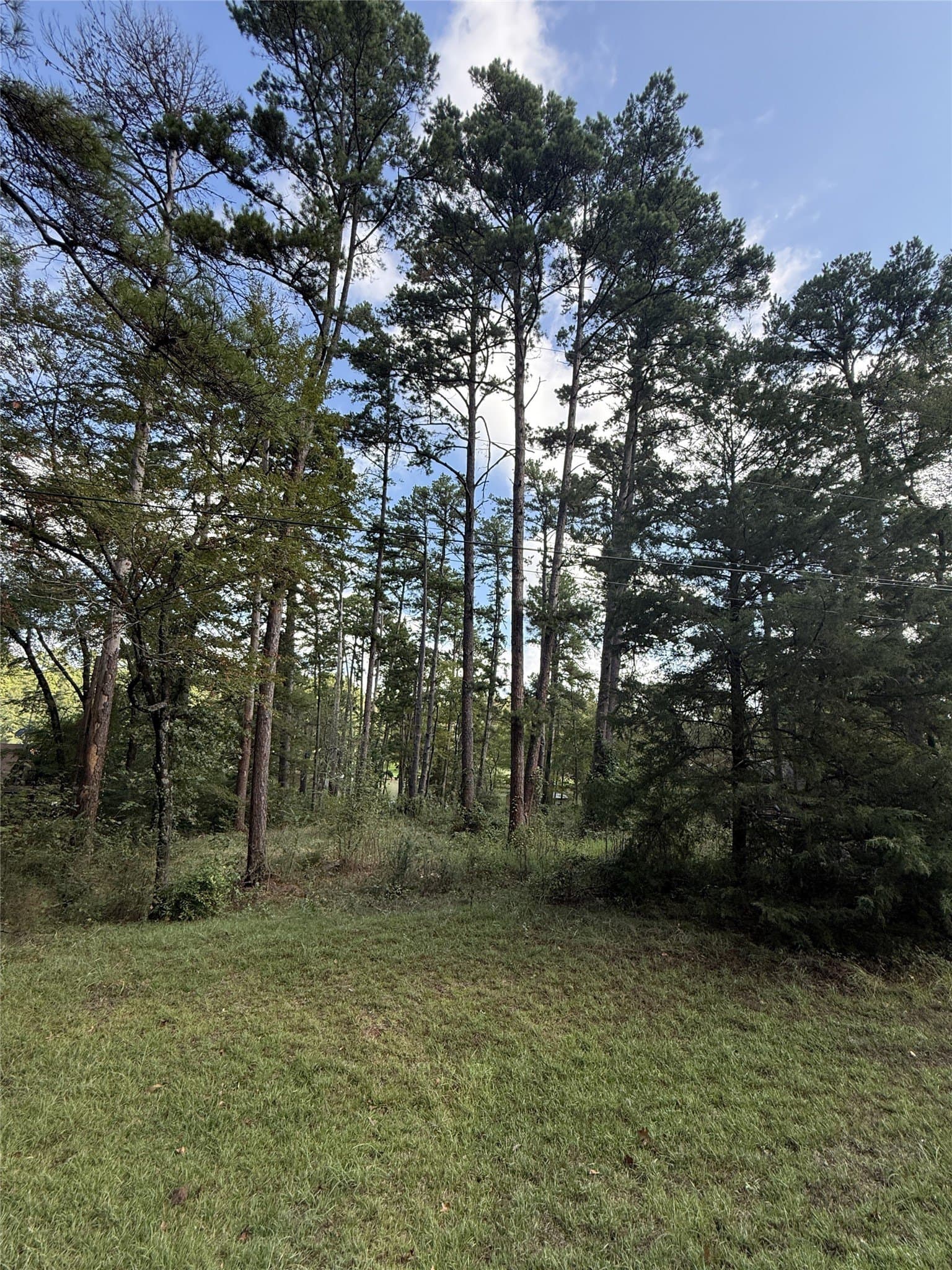 0.8 acres in Smith County - photo 3