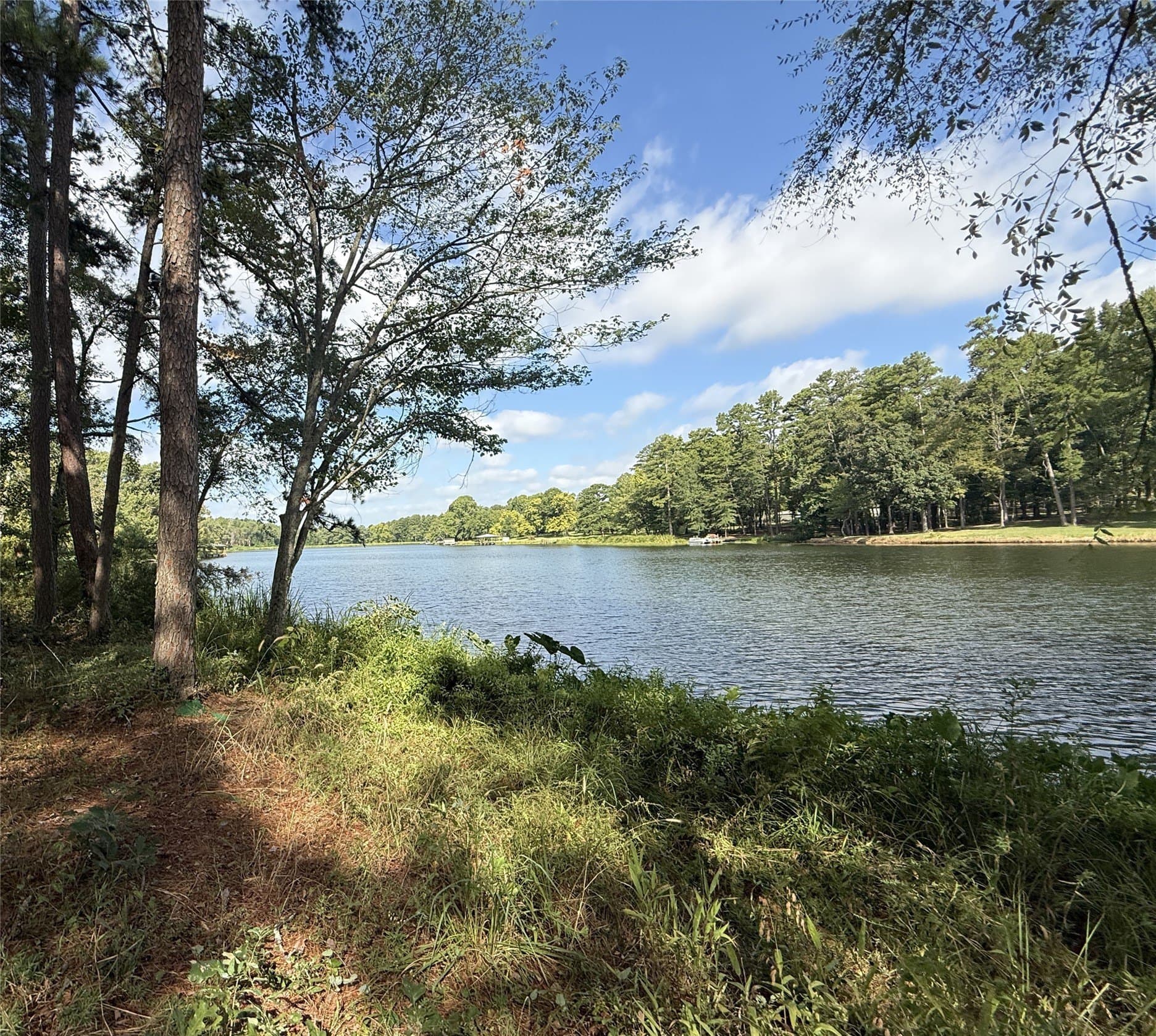0.8 acres in Smith County - photo 8
