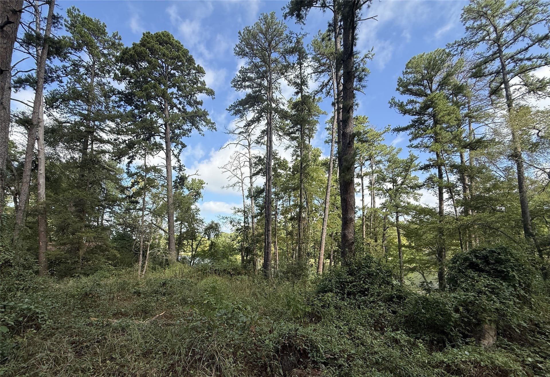 0.8 acres in Smith County - photo 11