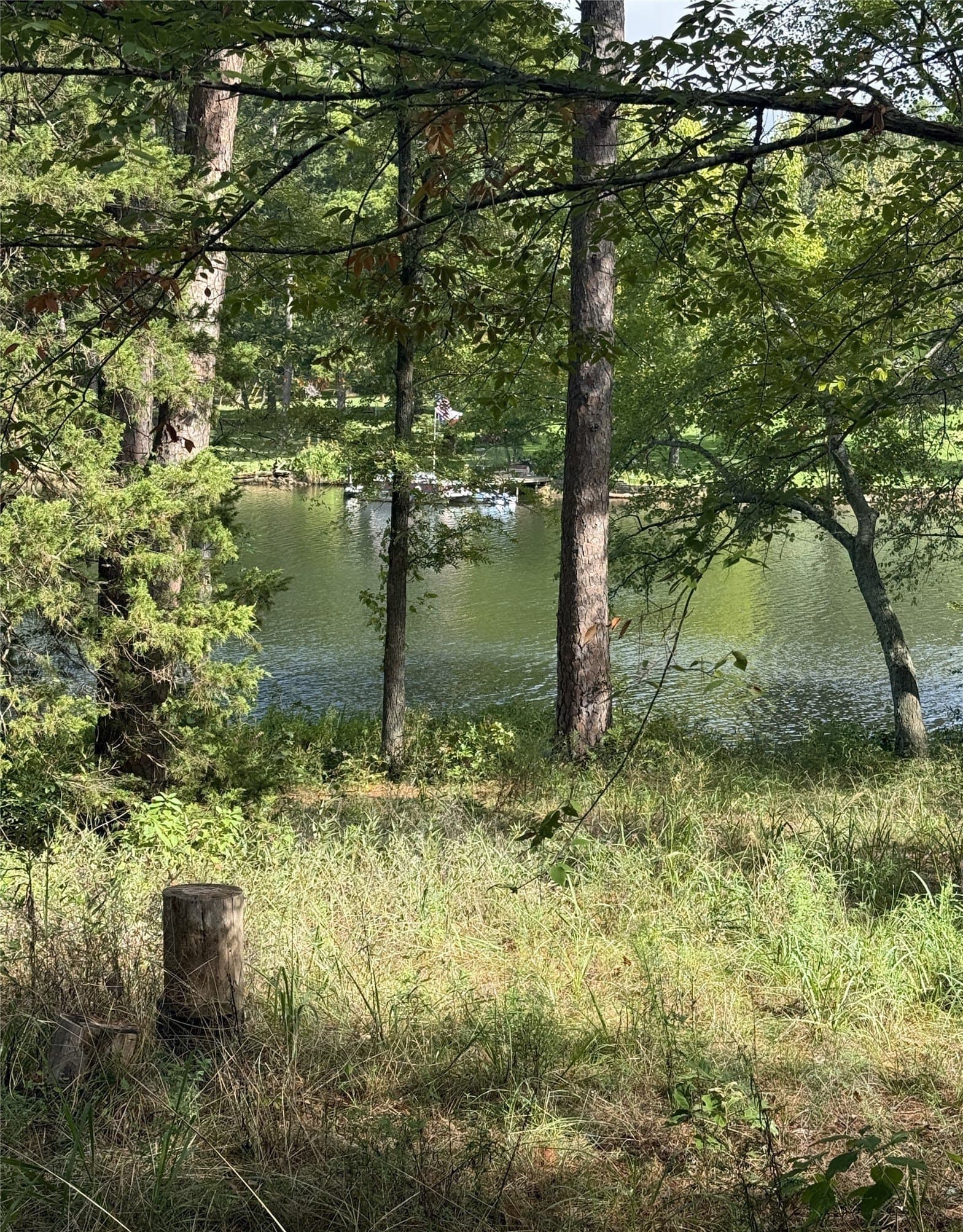 0.8 acres in Smith County - photo 5