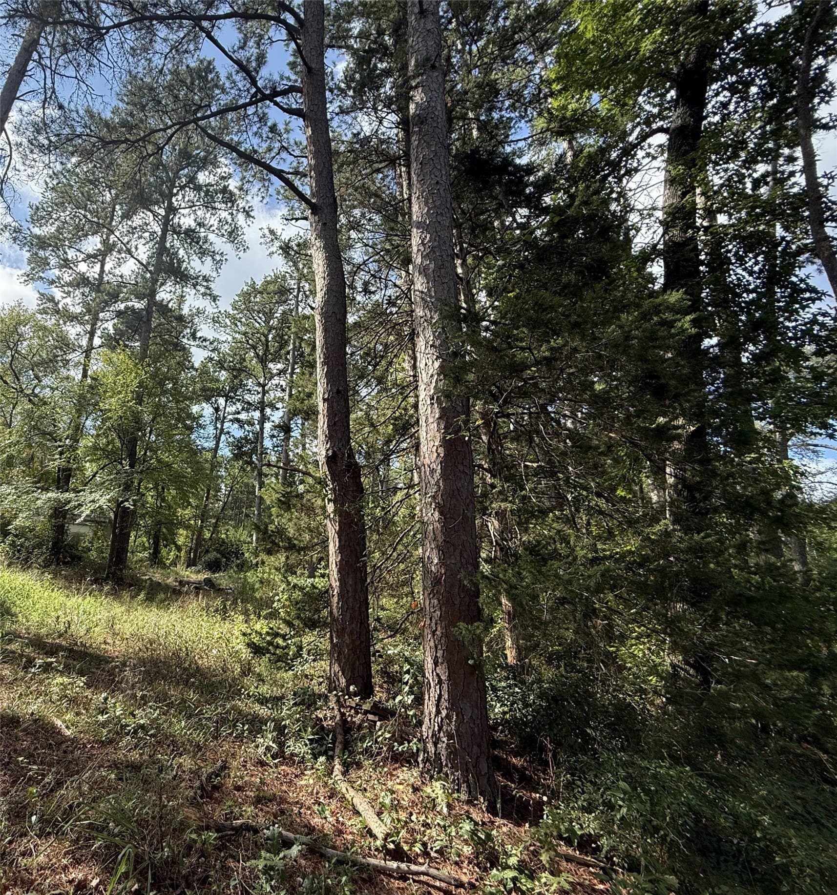0.8 acres in Smith County - photo 7