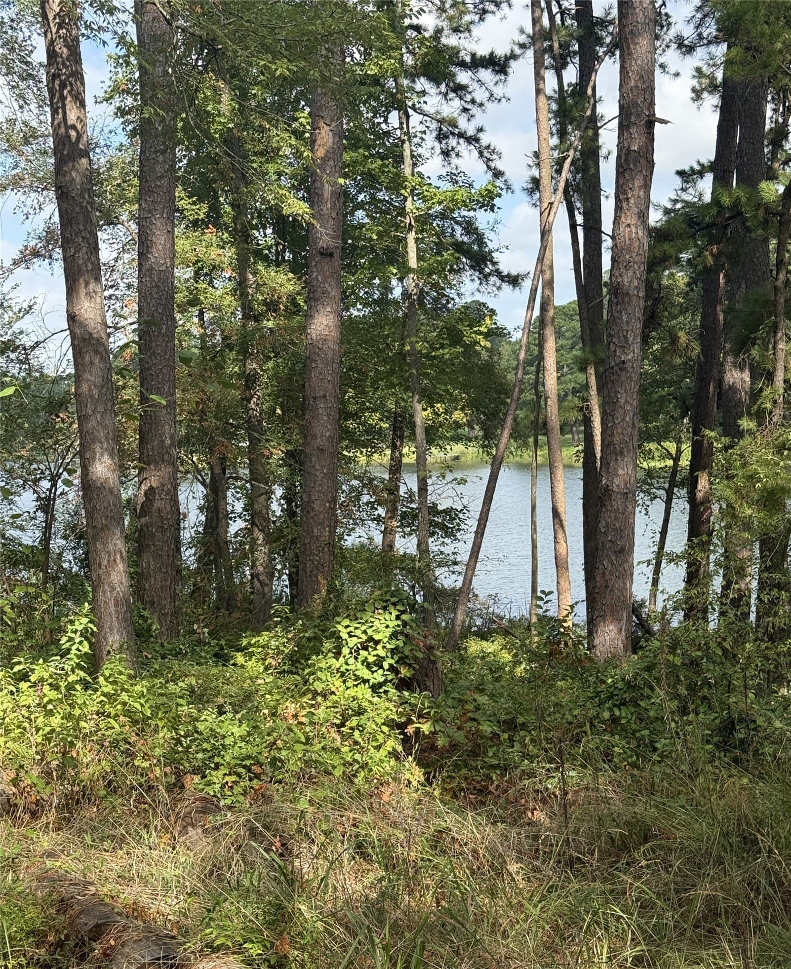 0.8 acres in Smith County - photo 4