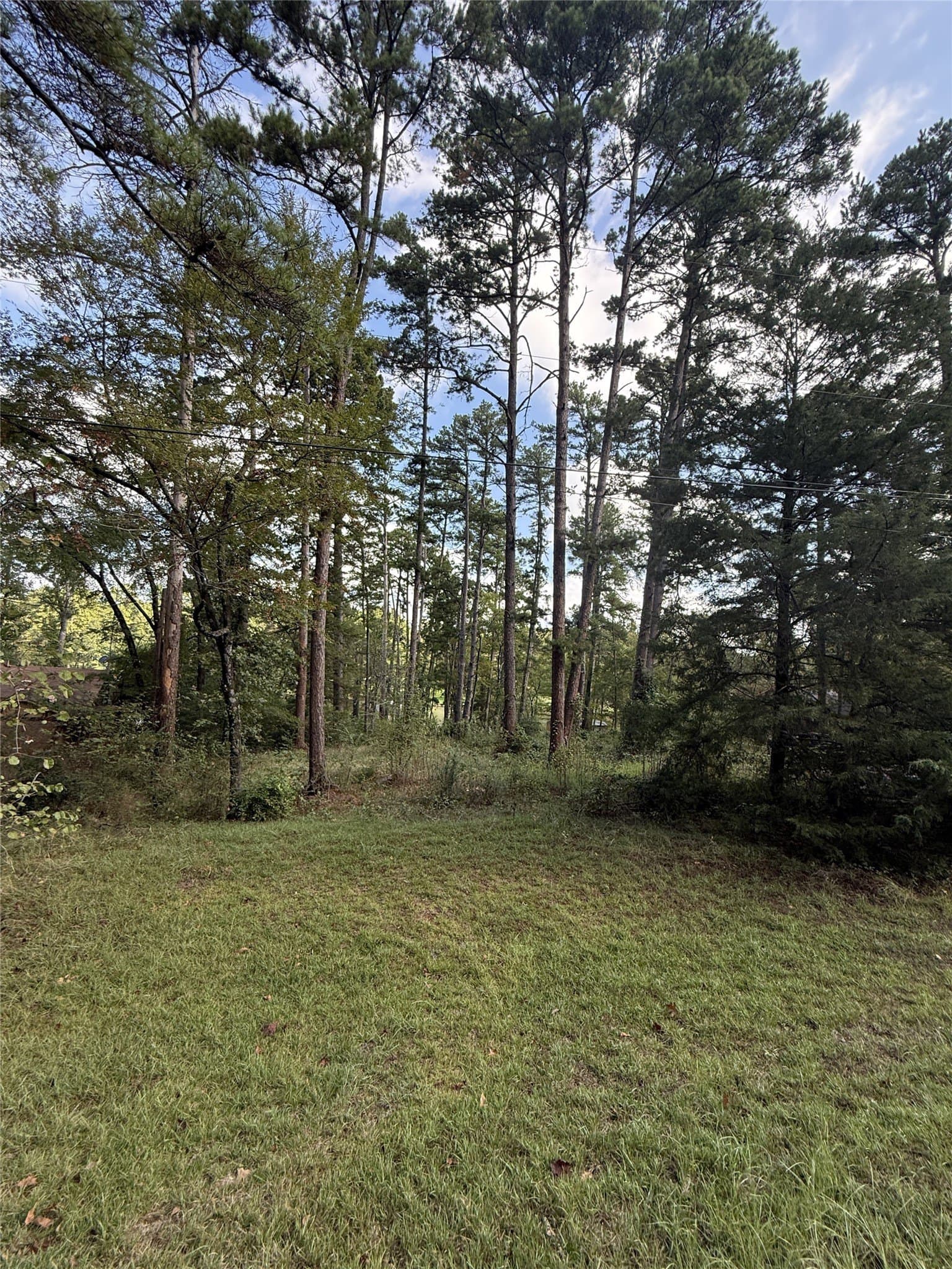 0.8 acres in Smith County - photo 13