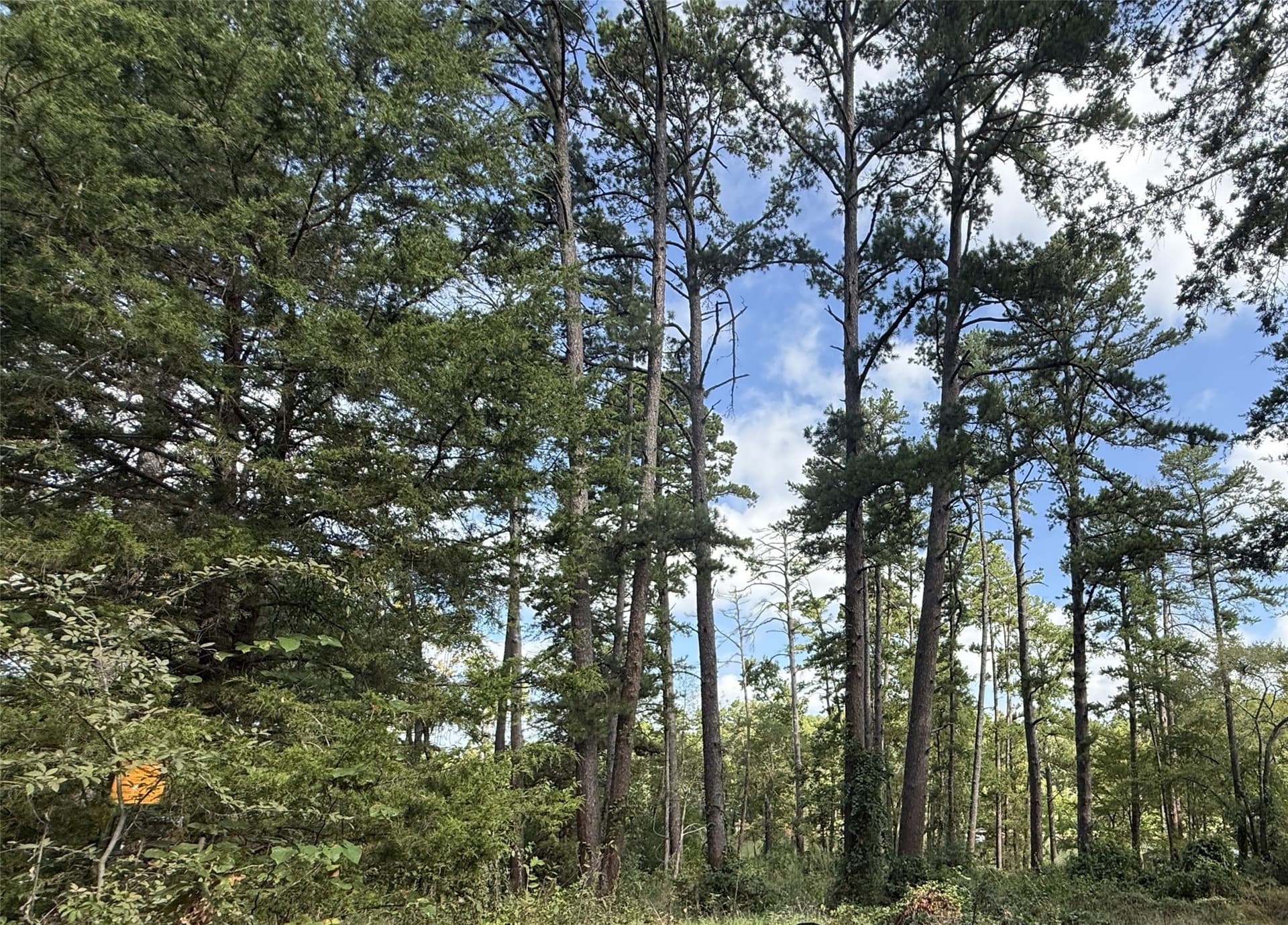0.8 acres in Smith County - photo 12