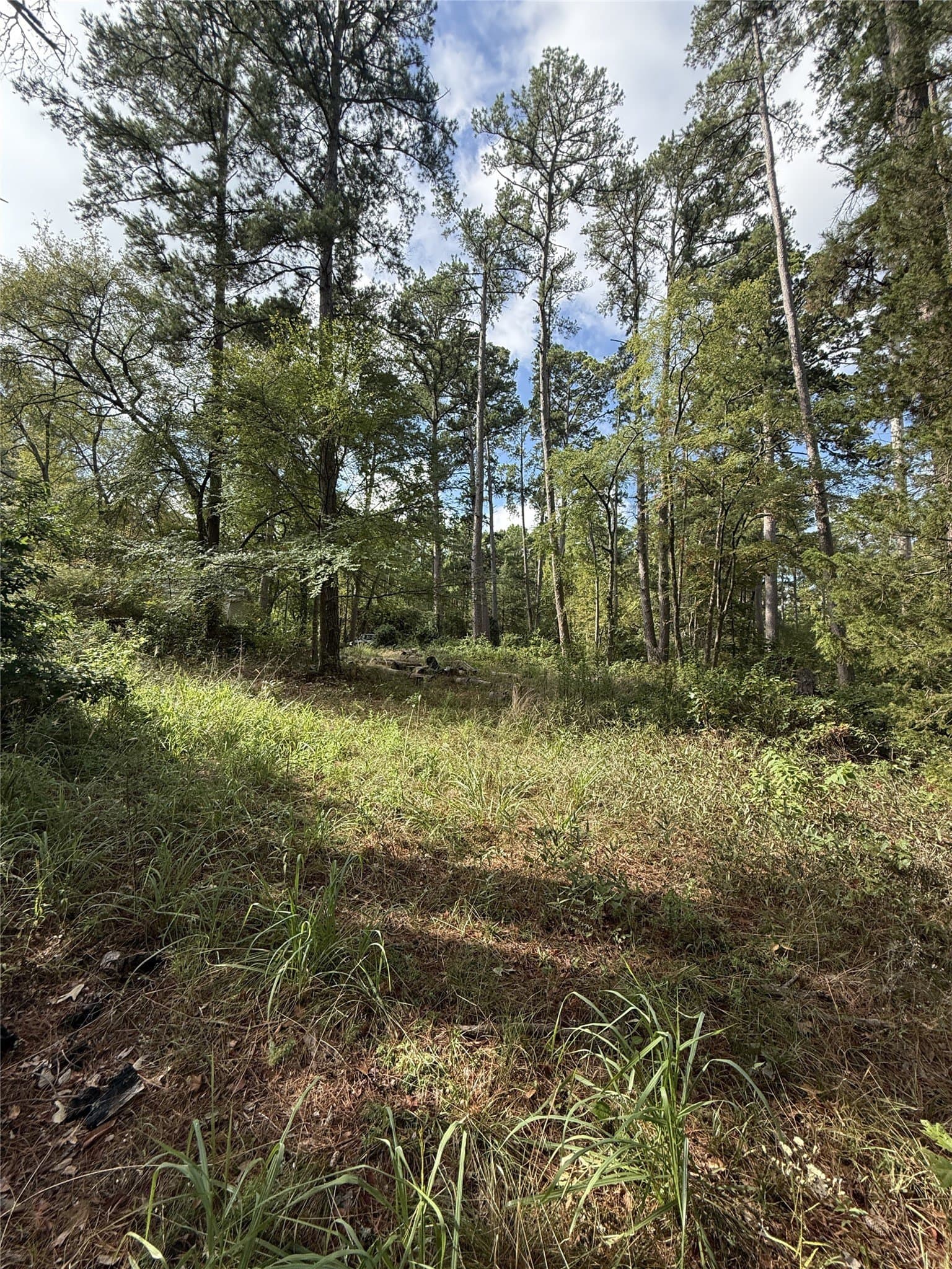 0.8 acres in Smith County - photo 9