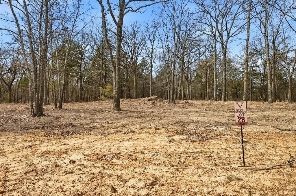 1 acres in Grayson County gallery image 3